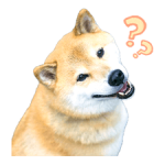 Shiba Maru Adesivi 2
