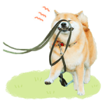 Shiba Maru Adesivi 4