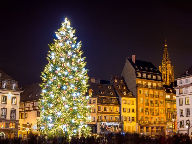 tạo dáng với cây thông noel 2